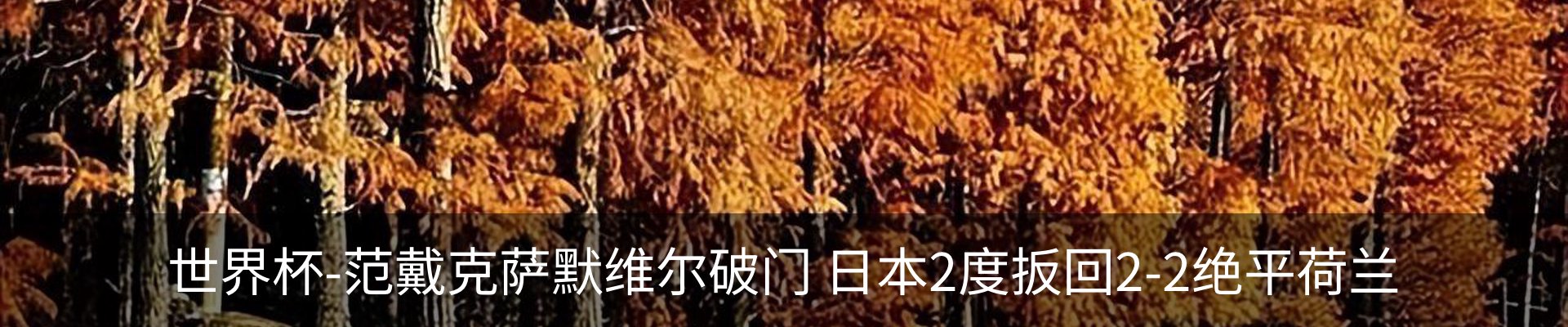 新闻中心