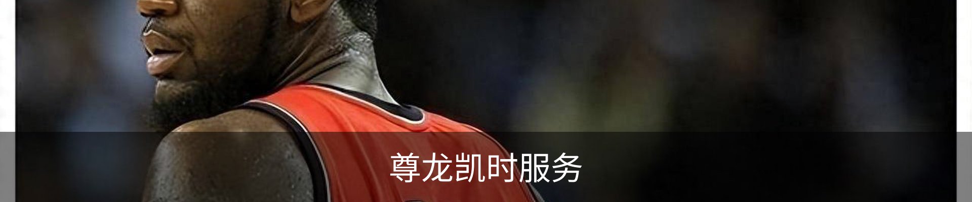 尊龙凯时服务