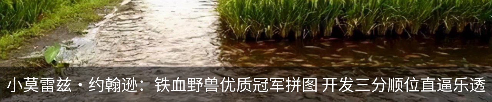 新闻中心